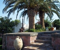 Villa Vittoria: Terrace