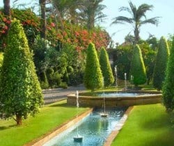 Villa Moonstone: Garden
