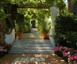 Villa Leilani: Garden