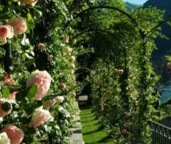 Villa Regina Teodolinda: Garden