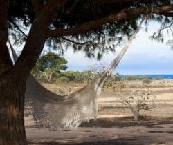 Villa Salera: Garden