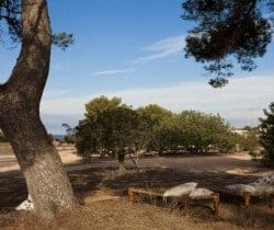 Villa Salera: Garden