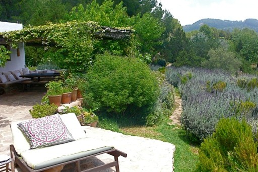 Villa Asera: Garden