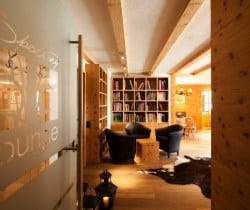 Chalet Apartment Dafne: Lounge