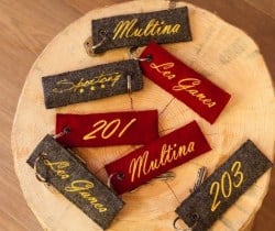 Chalet Apartment Genziana: Detail