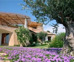 Villa Orange: Garden