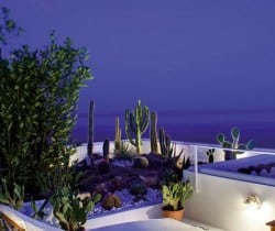 Villa Peacock: Roof garden