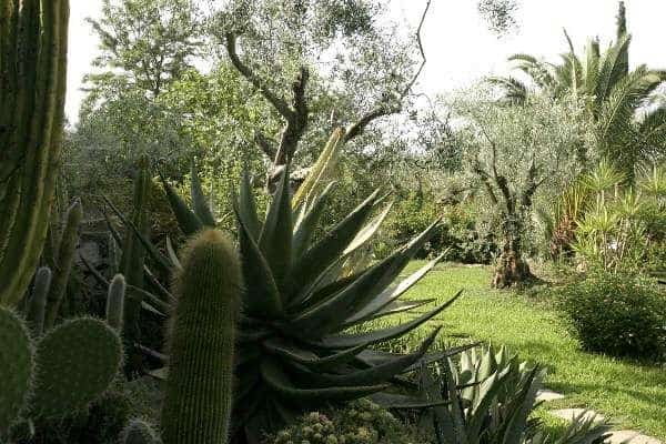 Villa Il Giardino: Garden