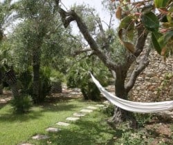 Villa Il Giardino: Garden