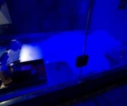 Chalet Himalaya: Bathroom