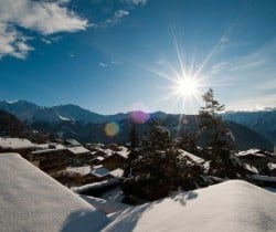 Chalet Dharma: Landscape