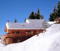 Chalet Holly: Outside view