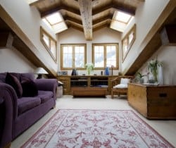 Chalet Nevai: Library