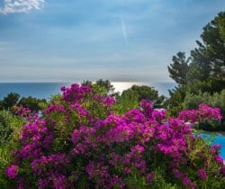 24Villa-Floreat-Swimming-pool