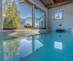 Chalet-Naturae-Swimming-pool