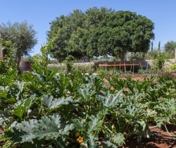 Villa-Avola-Vegetable-garden