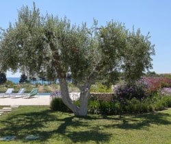 Villa-Avola-Garden