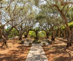 Villa-Divinity-Garden