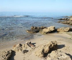 Villa Palmier: Beach