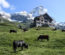 Chalet-Eden-Summer-views