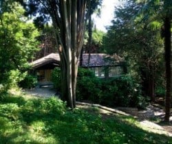 Villa Griante: Garden