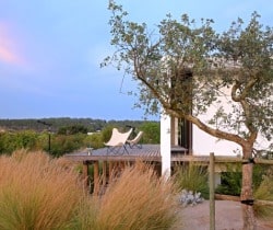 Villa Sal-Garden.jpg