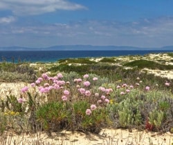 Villa Sal-Beach.jpg
