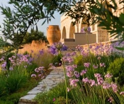 Villa-Thea-Garden