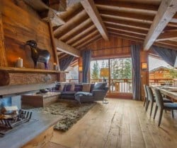 Chalet Chenus-Living area