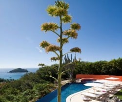 Villa Cactus - Outside view & pool