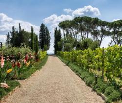 Villa-Ramole-Garden