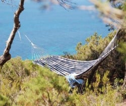 Villa Anindita: Garden