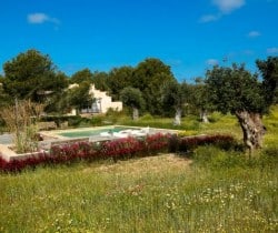 Villa-Bonita-Swimming-pool-garden