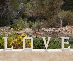 Villa Daisy-Garden detail