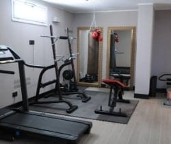 Villa Sparkle-Fitness room