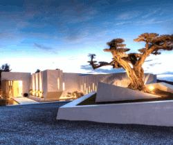 Villa Violeta-Garden