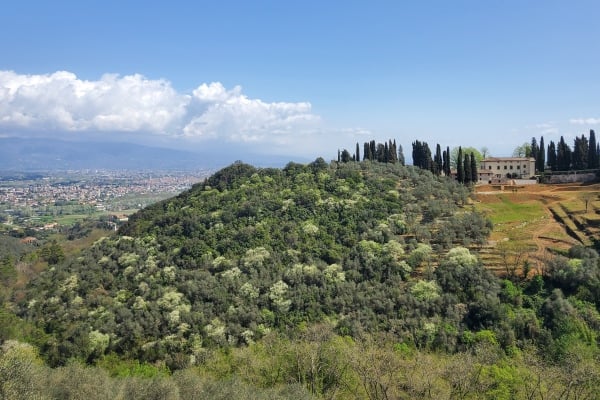 Villa-Aquila-Exterior-views