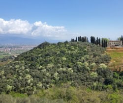 Villa-Aquila-Exterior-views