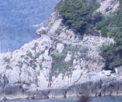 Torre Saracena: Beach