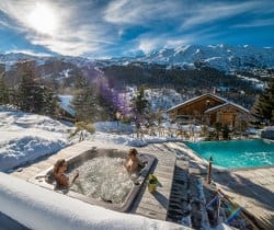 Chalet Tristan-Exterior jacuzzi