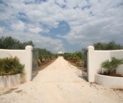 Villa Plumbago - Outside View
