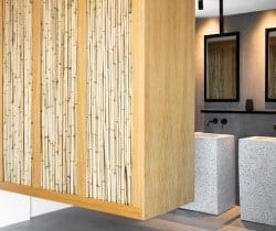 Villa-Waterfall-Master-bathroom