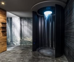Chalet-Seceda-Shower