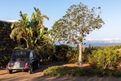 Villa-StellaMaris-Garden