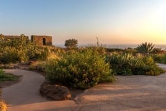 Villa-StellaMaris-Garden