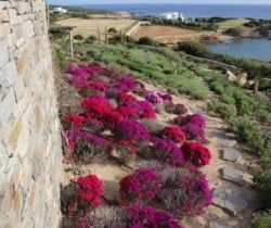 Villa-Helios-Garden