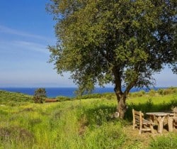 Villa Linda-Exterior views