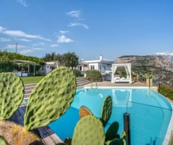 Villa-Millie-Swimming-pool