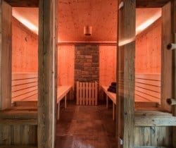 Chalet-Apartment-Nasse-Sauna