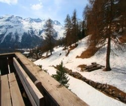 Chalet Olympus-Exterior views